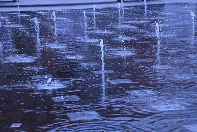 DSC_1601 (Large).JPG